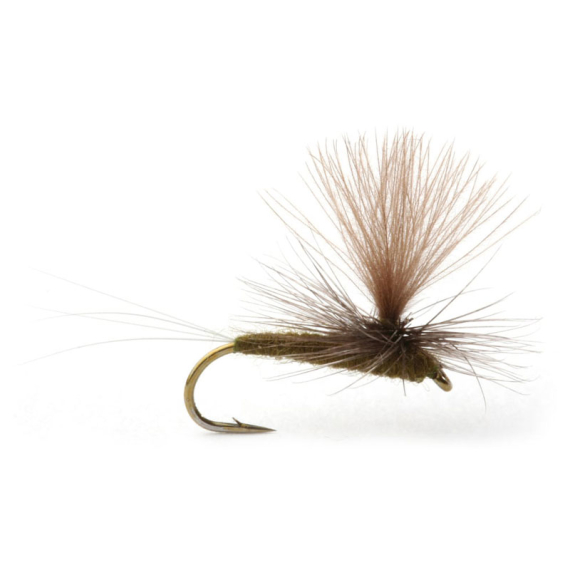 Baetis Dark Olive - 14 in der Gruppe Köder / Fliegen / Trockenfliegen bei Sportfiskeprylar.se (101394GL)