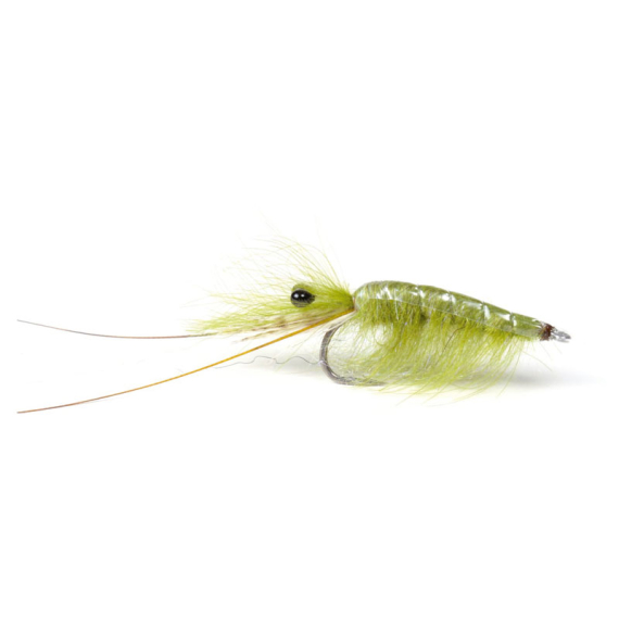 Olive CDC Shrimp #6 in der Gruppe Köder / Fliegen / Streamers bei Sportfiskeprylar.se (101583GL)