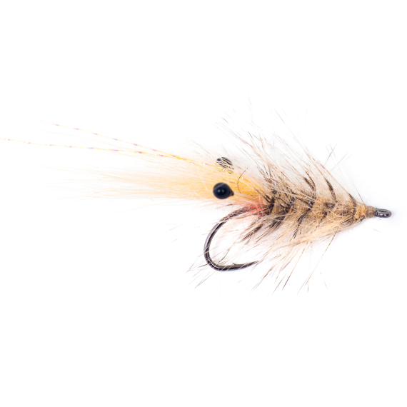 Guideline Hackle Shrimp #6 in der Gruppe Angelmethoden / Fliegenfischen bei Sportfiskeprylar.se (108242GL)