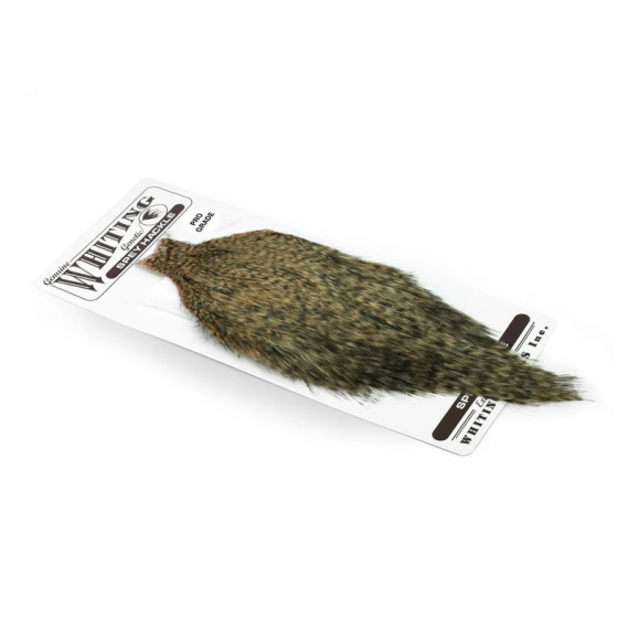 Whiting Spey Hackles Pro Grade Cape - GD/Salmon in der Gruppe Haken & Zubehör / Fliegenbinden / Fliegenbindematerial / Feder & Bälge / Bälge & Sättel bei Sportfiskeprylar.se (65501102)