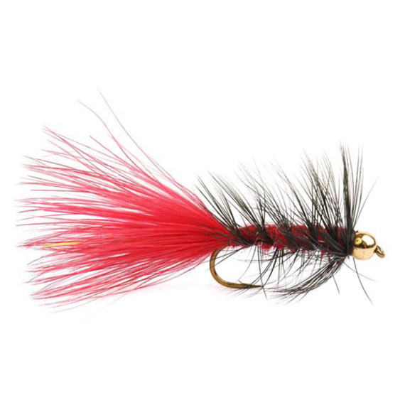 Wolly Bugger Gold Head Red Black size 8 in der Gruppe Köder / Fliegen / Streamers bei Sportfiskeprylar.se (HF1231-8)