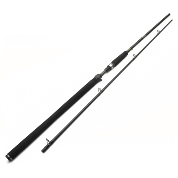 Westin W3 Powercast-T 8\'3\'\'/251cm XXH 40-130g 2pcs Casting in der Gruppe Angelruten / Baitcast Ruten bei Sportfiskeprylar.se (W303-0832-XXH)