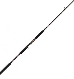 Abu Garcia Beast X Pike 802 Xxh 50-200G Casting