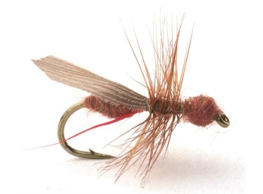 Guideline Flying Ant Cinnamon # 12