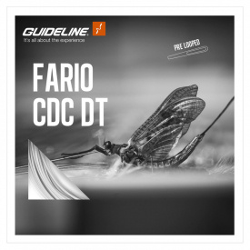 Guideline Fario CDC DT