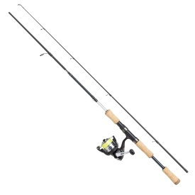 Abu Garcia Cardinal STX Combo