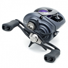 Daiwa 20 Prorex PE SV TW 100