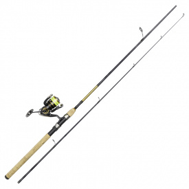 Daiwa Crossfire LT2500 Gold Rush 9' 5-25G/0.17YL