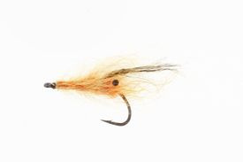 STF Orange Shrimp UV