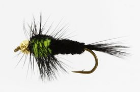 Montana Goldhead Green