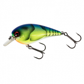 Westin BassBite 2.5 Squarebill 7cm 16g Floating