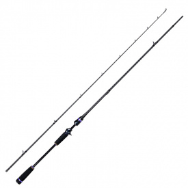 Titan Pro Tackle Atlas Casting 7'3'' 5-25g