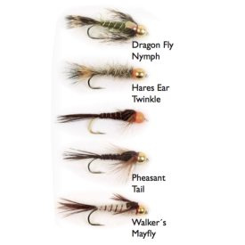 Goldheads Long Shank 5-pack