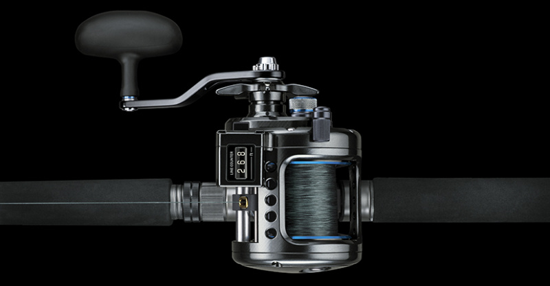 Daiwa Saltist | Sportfishtackle.de